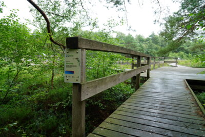 Moorsteg  (Bild vergr&ouml;&szlig;ern)