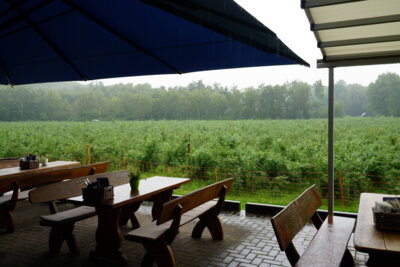Leichter Landregen  (Bild vergr&ouml;&szlig;ern)