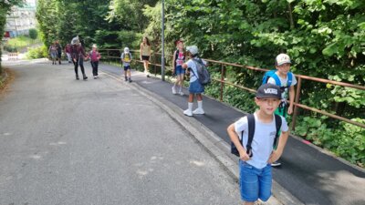 20250628 111352  (Bild vergr&ouml;&szlig;ern)
