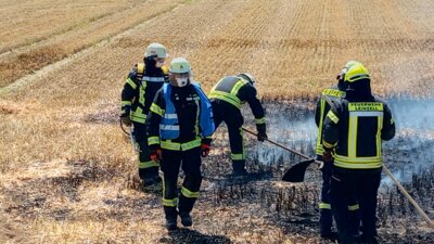 IMG 20250621 150813 398  (Bild vergr&ouml;&szlig;ern)