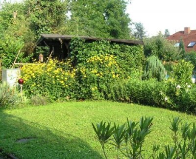 fw zum sommerberg 003  (Bild vergr&ouml;&szlig;ern)