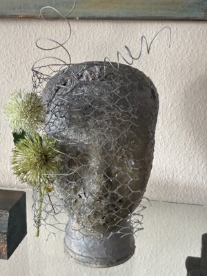IMG 0486  (Bild vergr&ouml;&szlig;ern)