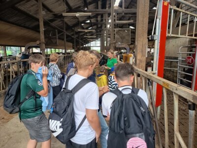Fotoalbum Blüthentag- 