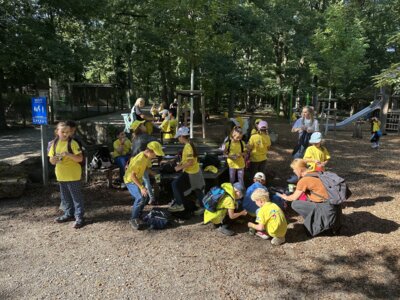 Foto des Albums: Wildpark Pforzheim Klasse 1