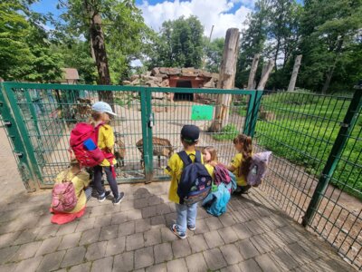 Foto des Albums: Wildpark Pforzheim Klasse 1