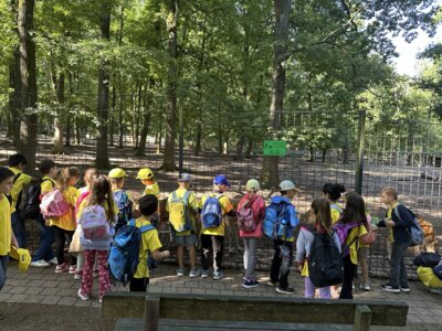 Foto des Albums: Wildpark Pforzheim Klasse 1