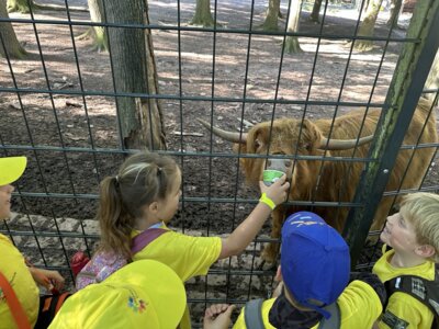 Foto des Albums: Wildpark Pforzheim Klasse 1
