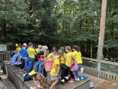Foto des Albums: Wildpark Pforzheim Klasse 1