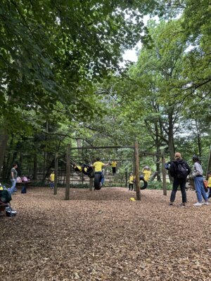 Foto des Albums: Wildpark Pforzheim Klasse 1