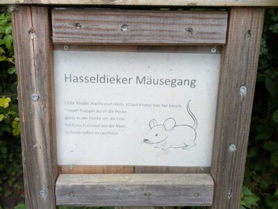 Foto des Albums: 2025-07-22_Wanderung_Hasseldieksdamm