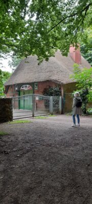 Foto des Albums: 2025-07-22_Wanderung_Hasseldieksdamm
