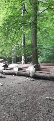Foto des Albums: 2025-07-22_Wanderung_Hasseldieksdamm