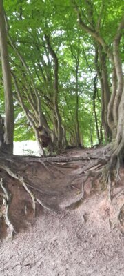 Foto des Albums: 2025-07-22_Wanderung_Hasseldieksdamm