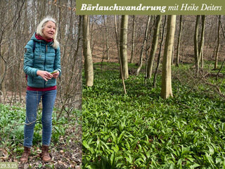 Im Osterlinder Wald  (Bild vergr&ouml;&szlig;ern)