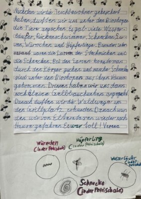 IMG-20250717-WA0002 