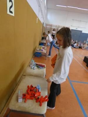 Fotoalbum Sportfest 2025 mit Auswertung