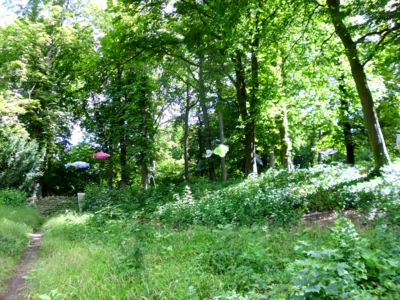 Herrlich  (Bild vergr&ouml;&szlig;ern)