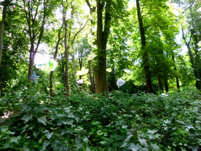 Foto des Albums: Rund Gehrdener Berg
