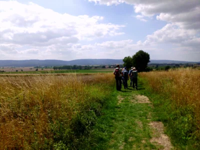 R&uuml;ckweg  (Bild vergr&ouml;&szlig;ern)
