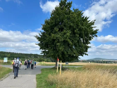 Das Wetter ist sehr gut.  (Bild vergr&ouml;&szlig;ern)
