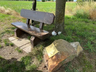 Sch&ouml;ner Ruheplatz  (Bild vergr&ouml;&szlig;ern)