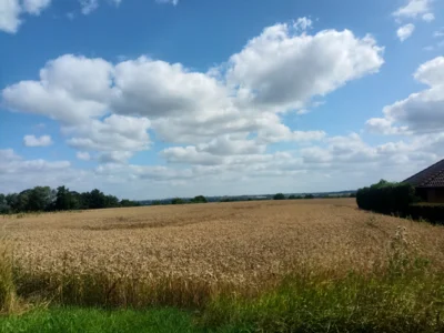 Sommerwetter...  (Bild vergr&ouml;&szlig;ern)