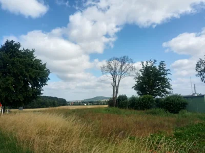 ... bleibt heute stabil  (Bild vergr&ouml;&szlig;ern)