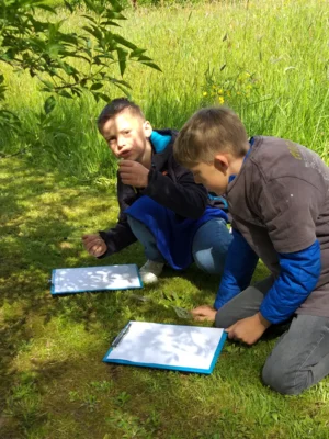 Foto des Albums: Raus in die Natur! – Naturtagebuchwettbewerb