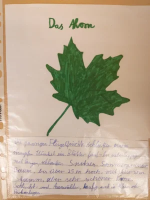 Foto des Albums: Raus in die Natur! – Naturtagebuchwettbewerb