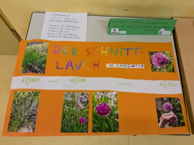 Foto des Albums: Raus in die Natur! – Naturtagebuchwettbewerb