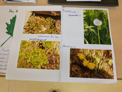 Foto des Albums: Raus in die Natur! – Naturtagebuchwettbewerb