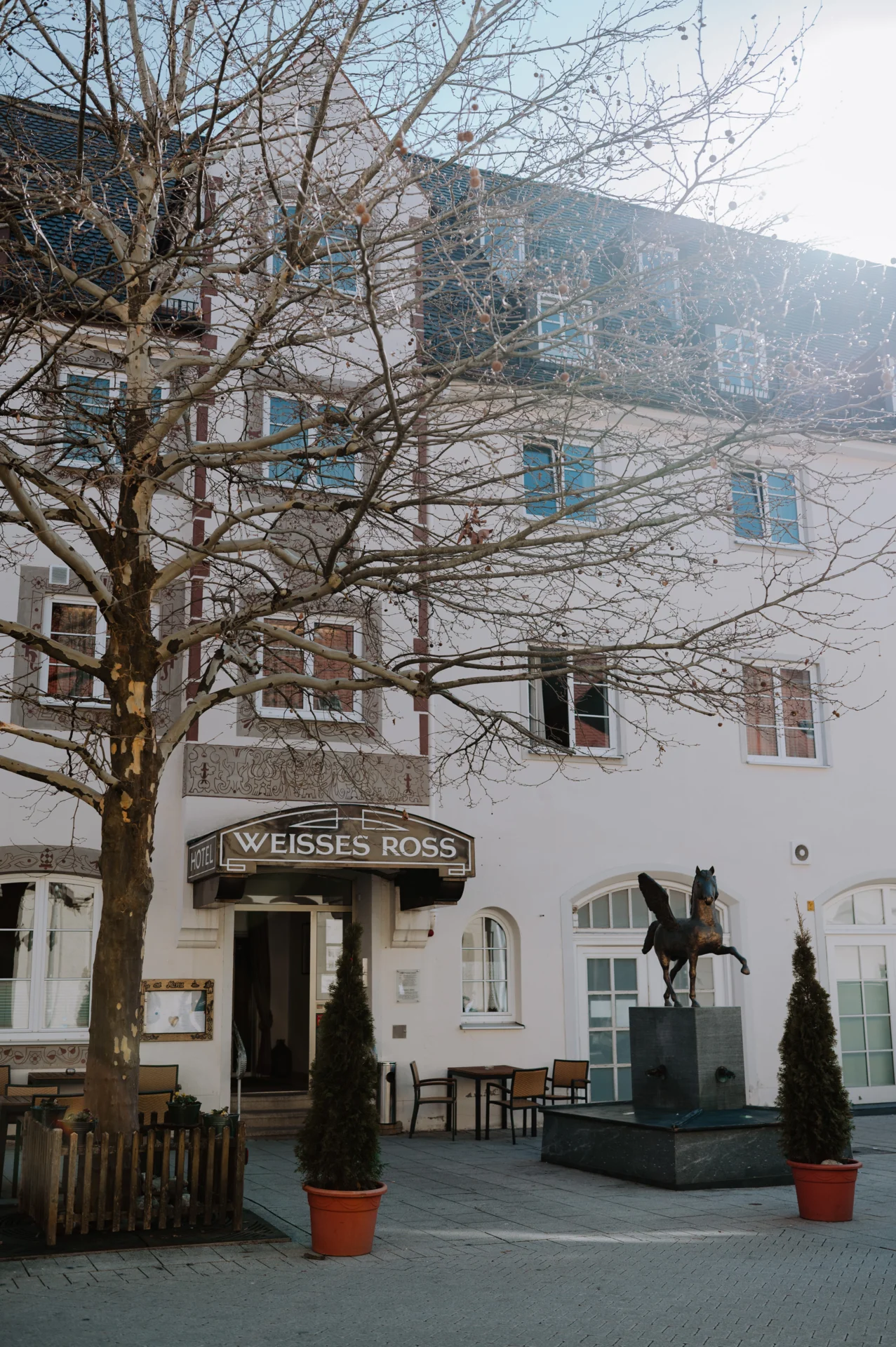 Bild der Galerie