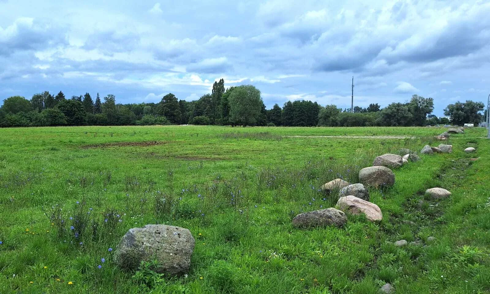 Bild: 29 Müncheberger Feldmark