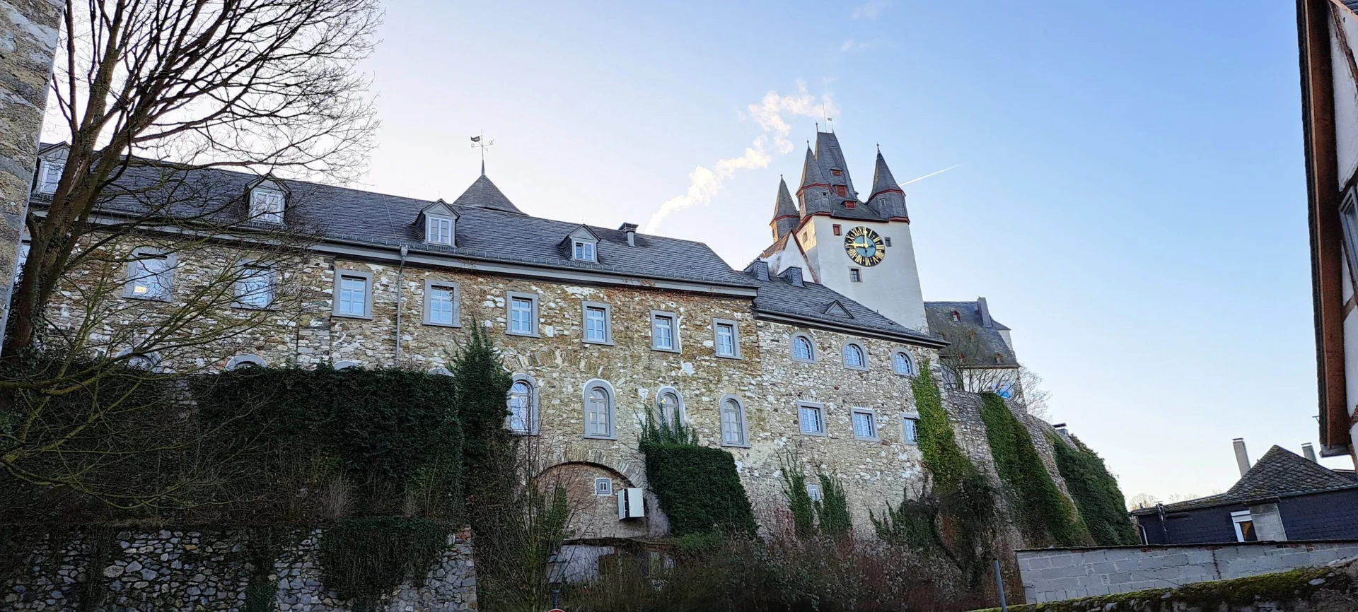 Bild der Galerie