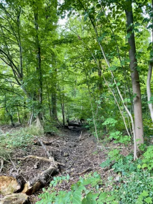 Foto des Albums: Schlosspark Ahlsdorf