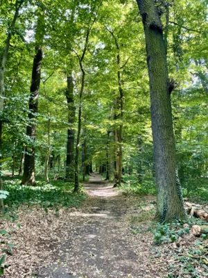 Foto des Albums: Schlosspark Ahlsdorf