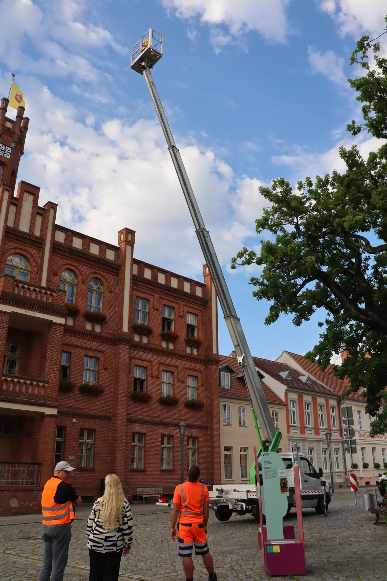 Bild der Galerie