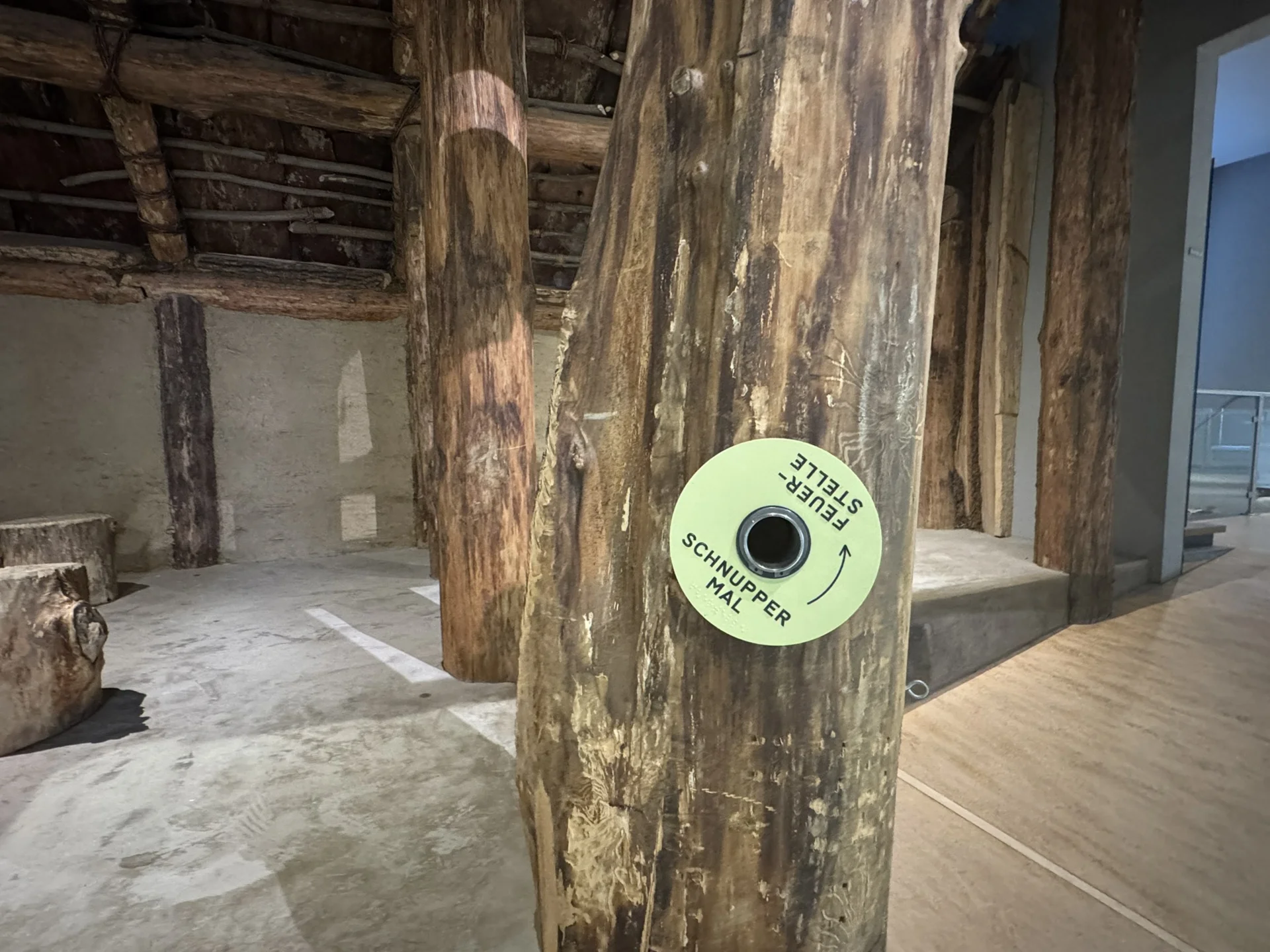Bild: Museum Ur-und Fruehgeschichte 03