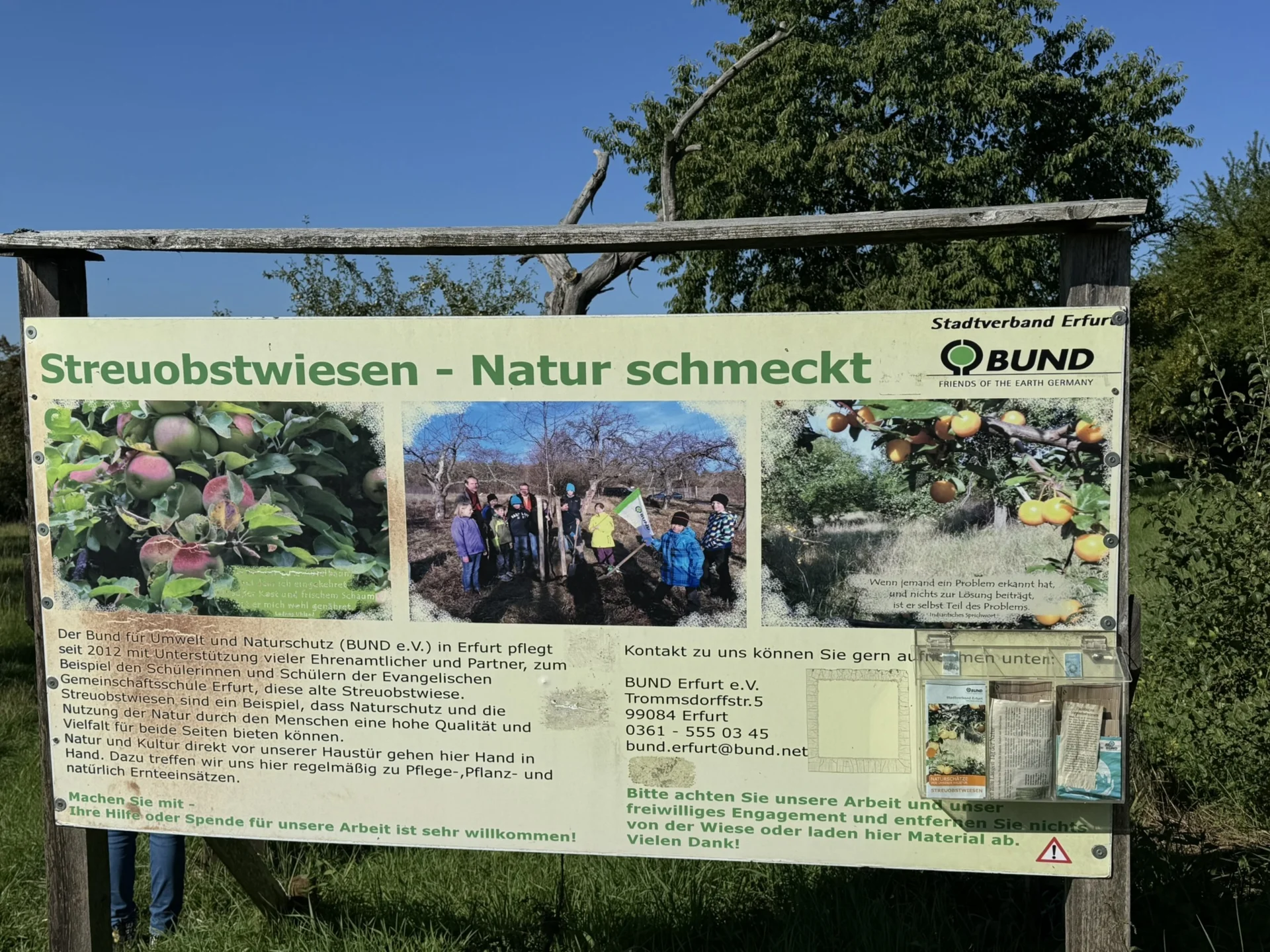 Bild: Streuobstwiese 01