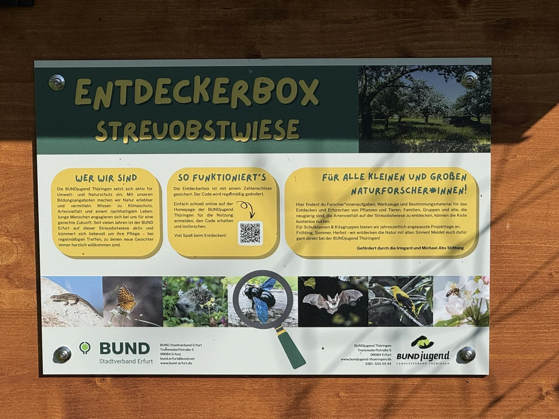 Bild: Streuobstwiese 02