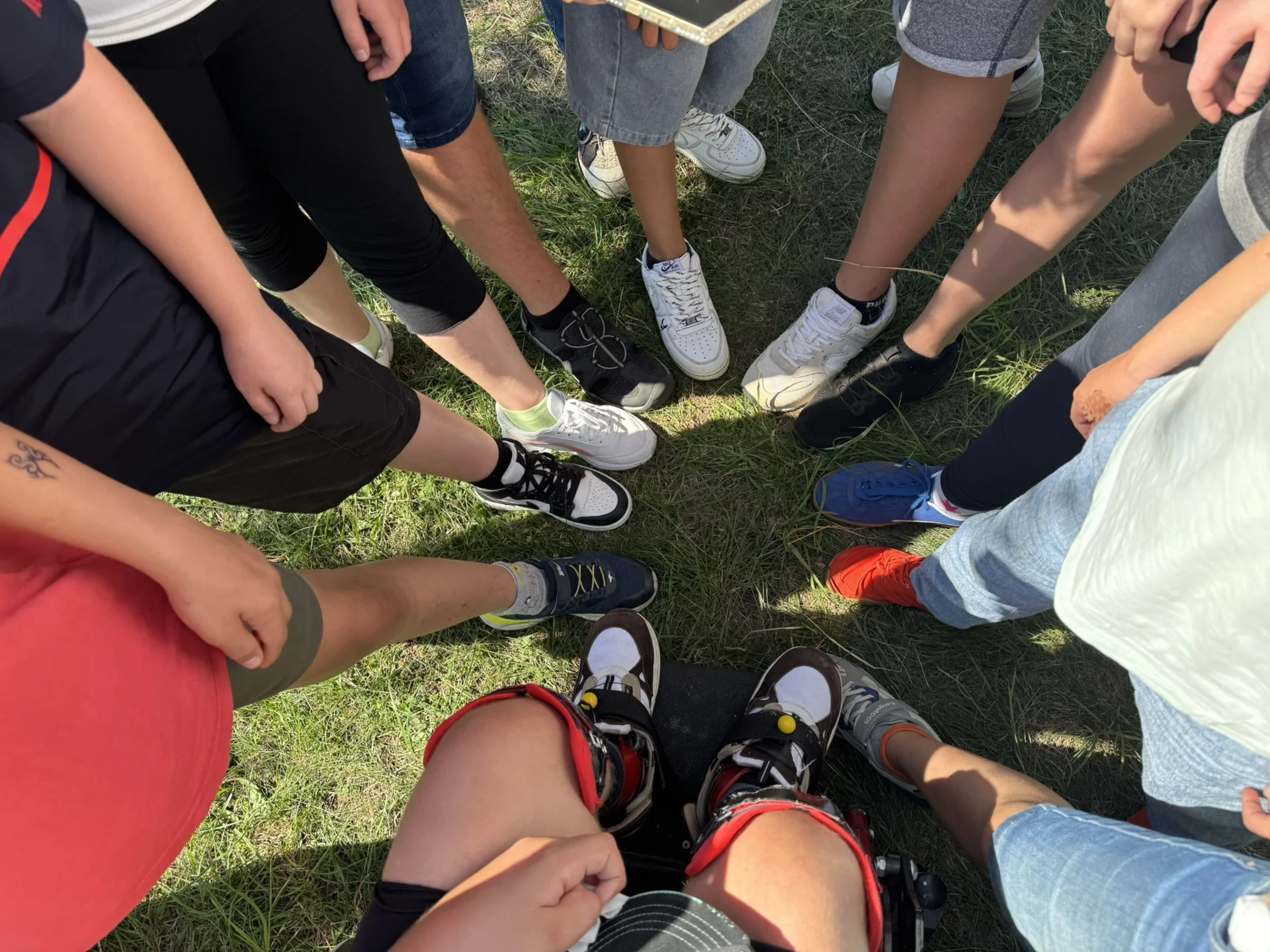 Bild: Streuobstwiese 05