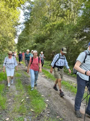 Foto des Albums: Fahle Heide in lila Farbe