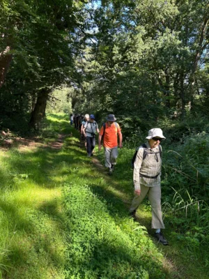 Foto des Albums: Fahle Heide in lila Farbe