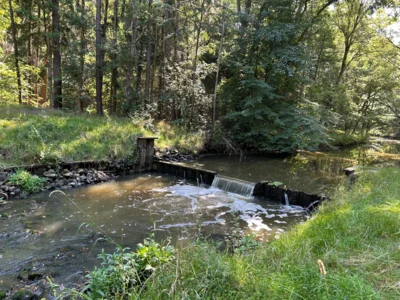 Foto des Albums: Fahle Heide in lila Farbe
