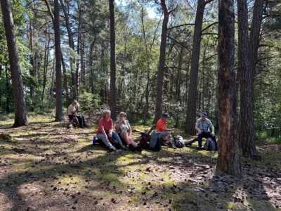 Foto des Albums: Fahle Heide in lila Farbe