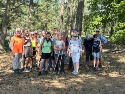Foto des Albums: Fahle Heide in lila Farbe