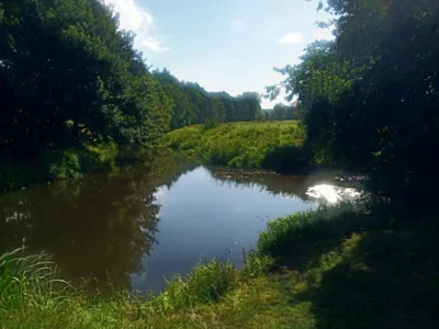 Aller und Allerkanal  (Bild vergr&ouml;&szlig;ern)