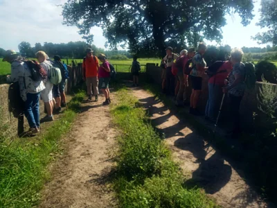 Foto des Albums: Fahle Heide in lila Farbe