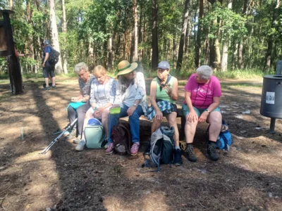 Foto des Albums: Fahle Heide in lila Farbe