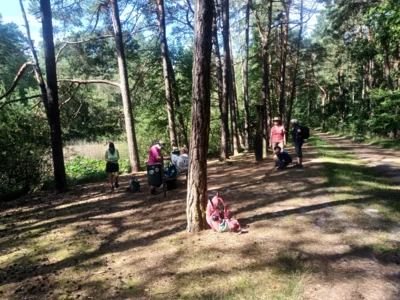 Foto des Albums: Fahle Heide in lila Farbe